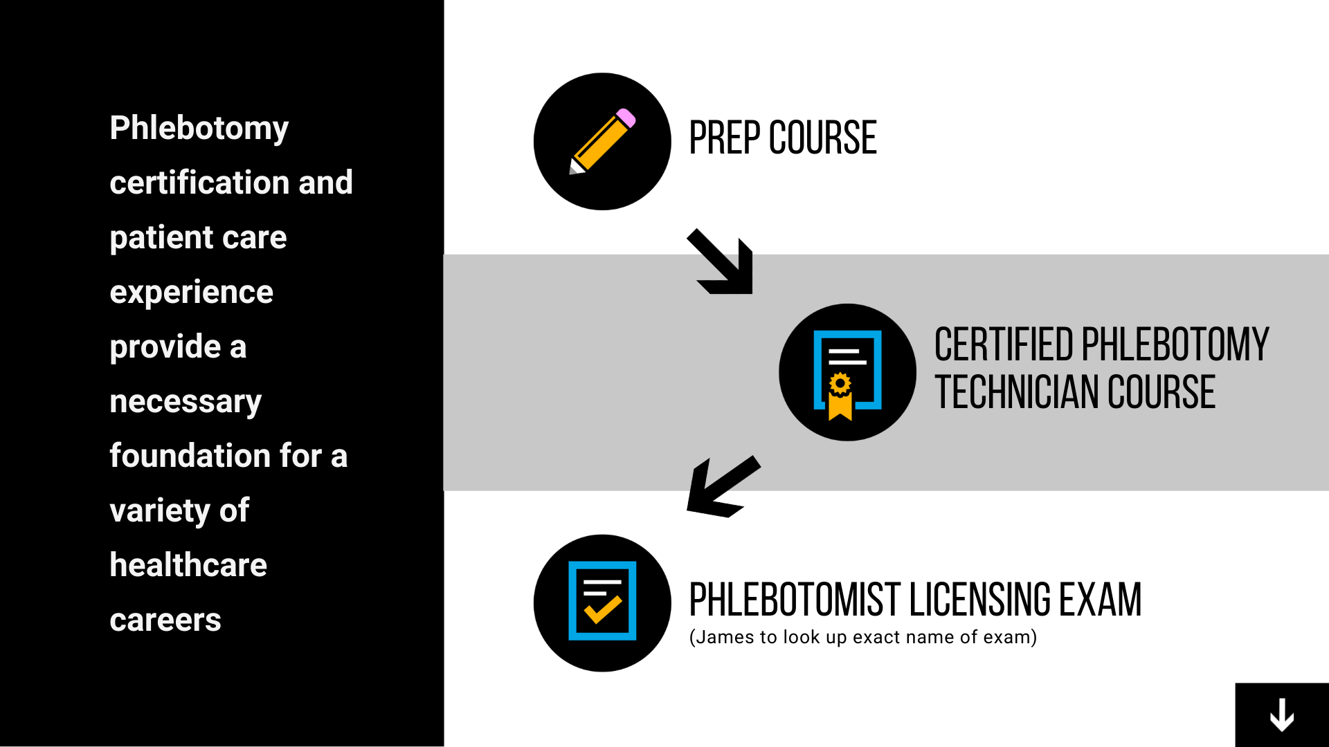 Phlebotomy Infographic